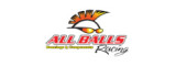 ALL BALLS RACING