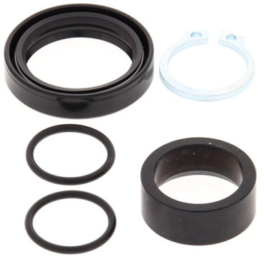 KIT REVISIONE ALBERO PIGNONE