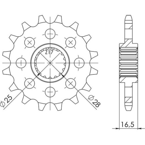 PIGNONE P525 - Z16 (DIS.73400)
