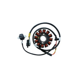 STATORE 12 POLI KYMCO PEOPLE S 125/200
