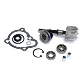 KIT RIPARAZIONE POMPA ACQUA KYMCO 250 GRANDINK/B&W