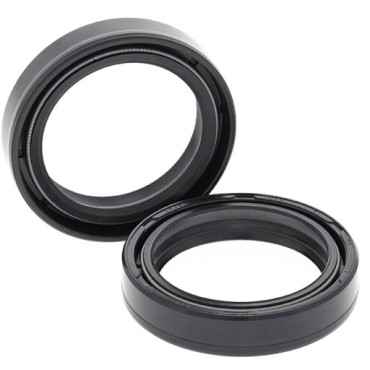 KIT PARAOLIO FORCELLA 41x54x11 Tipo DRD2