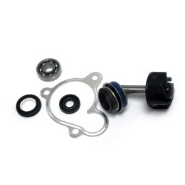 KIT RIPARAZIONE POMPA ACQUA YAMAHA 250 MAJESTY 00/>