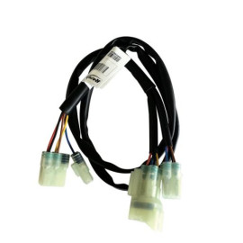CABLAGGIO PER CENTRALINA EASY2