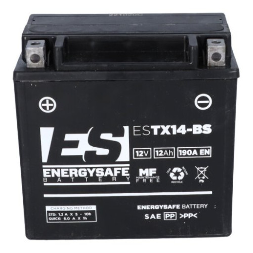 BATTERIA ENERGYSAFE ESTX14 FA 12V-12AH (SIGILLATA ATTIVATA - FACTORY SEALED)