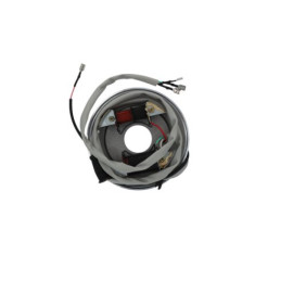 STATORE APE CAR P2/P3 -APE MP P501/P601 1972/1996