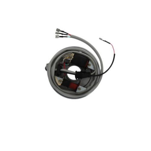 STATORE APE CAR-APE TMP602/73-APE TM 1978/2016