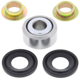KIT REVISIONE MONO INFERIORE
