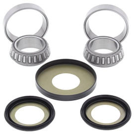 KIT CUSCINETTI E GUARNIZIONI PER STERZO