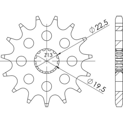 PIGNONE P525 - Z14 (DIS.22404)