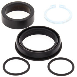 KIT REVISIONE ALBERO PIGNONE