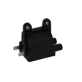 BOBINA AT ESTERNA DOPPIA ACCENSIONE TRIUMPH 790 - 865 - 900 -1000 -1200