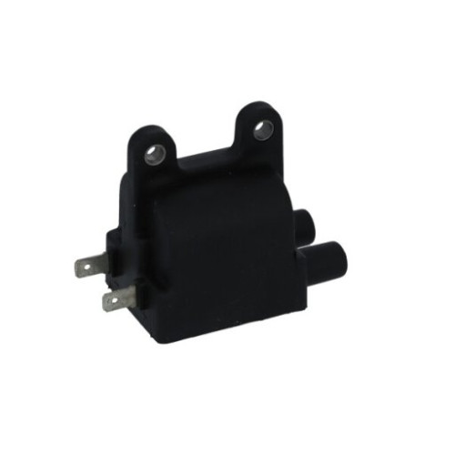 BOBINA AT ESTERNA DOPPIA ACCENSIONE TRIUMPH 790 - 865 - 900 -1000 -1200