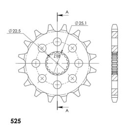 PIGNONE (525) 16D