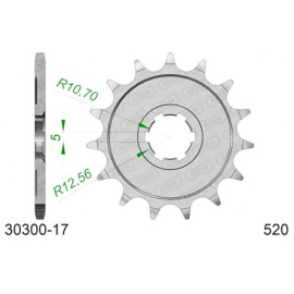 PIGNONE AFAM IN ACCIAIO P520 - Z17 (DIS.30300)