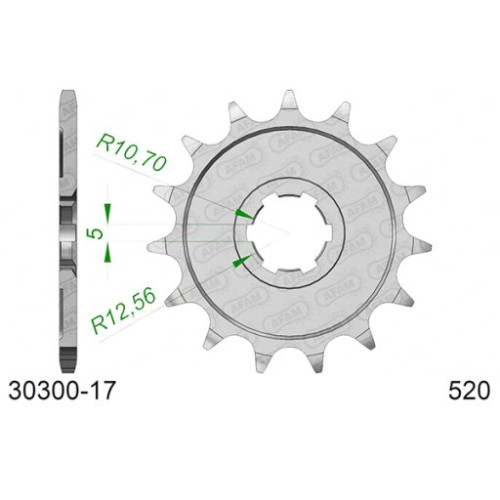 PIGNONE AFAM IN ACCIAIO P520 - Z17 (DIS.30300)