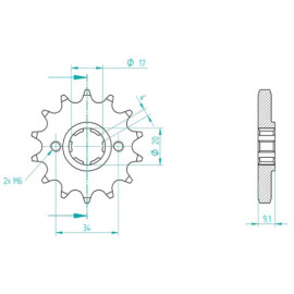 PIGNONE P428 - Z14 (DIS.00050)