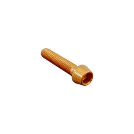 LIGHTECH Vite Esagono Inc. Erg. Cl 001 M6 L. 30