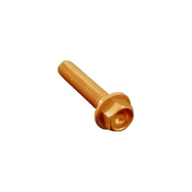 LIGHTECH Vite Testa Esagonale Erg. Cl 004 M6 L. 60
