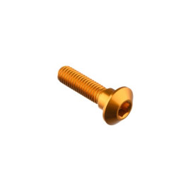 LIGHTECH Vite Special M8 X 31 + Rib 10 X 6