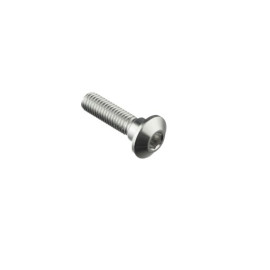 LIGHTECH Vite Special M8 X 31 + Rib 10 X 6