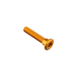 LIGHTECH Vite Special M8 X 41 + Rib 9,9 X 6