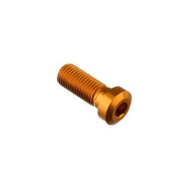 LIGHTECH Vite Special M10 X 25 + Rib 9,9 X 4