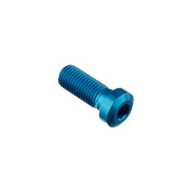 LIGHTECH Vite Special M10 X 25 + Rib 9,9 X 4