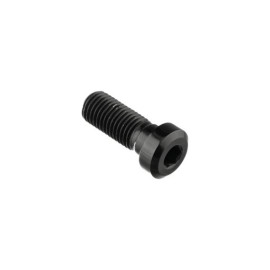 LIGHTECH Vite Special M10 X 25 + Rib 9,9 X 4