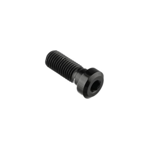 LIGHTECH Vite Special M10 X 25 + Rib 9,9 X 4
