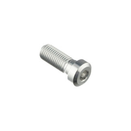 LIGHTECH Vite Special M10 X 25 + Rib 9,9 X 4