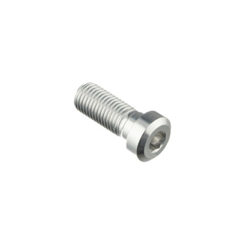 LIGHTECH Vite Special M10 X 25 + Rib 9,9 X 4