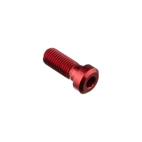 LIGHTECH Vite Special M10 X 25 + Rib 9,9 X 4