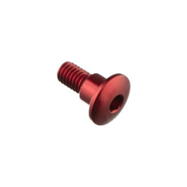 LIGHTECH Vite Special M6 X 15 + Rib 7,9 X 6