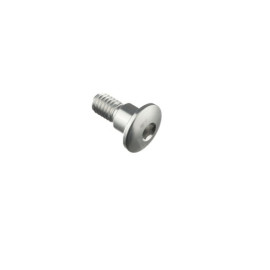 LIGHTECH Vite Special M6 X 15 + Rib 7,9 X 6