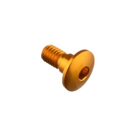 LIGHTECH Vite Special M6 X 13 + Rib 6,9 X 4,4