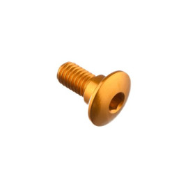 LIGHTECH Vite Special M6 X 14 + Rib 7,9 X 3,8