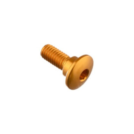 LIGHTECH Vite Special M6 X 16 + Rib 8,4 X 3,5