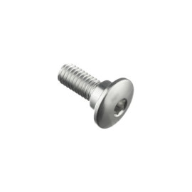 LIGHTECH Vite Special M6 X 16 + Rib 8,4 X 3,5