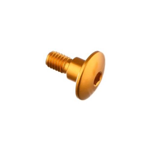LIGHTECH Vite Special M6 X 15 + Rib 7,9 X 6