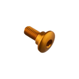 LIGHTECH Vite Special M6 X 15 + Rib 8,9 X 4