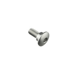 LIGHTECH Vite Special M6 X 15 + Rib 8,9 X 4