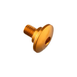 LIGHTECH Vite Special M6 X 11 + Rib 9,9 X 3,5