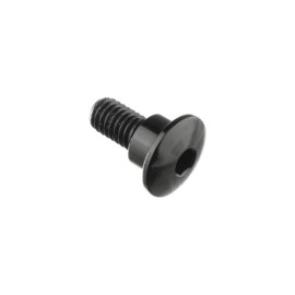 LIGHTECH Vite Special M6 X 15 + Rib 8,9 X 5