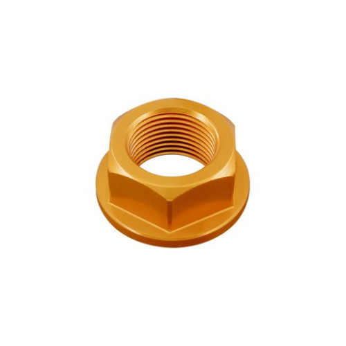 LIGHTECH Dado Speciale 20 X 1,50 Ergal