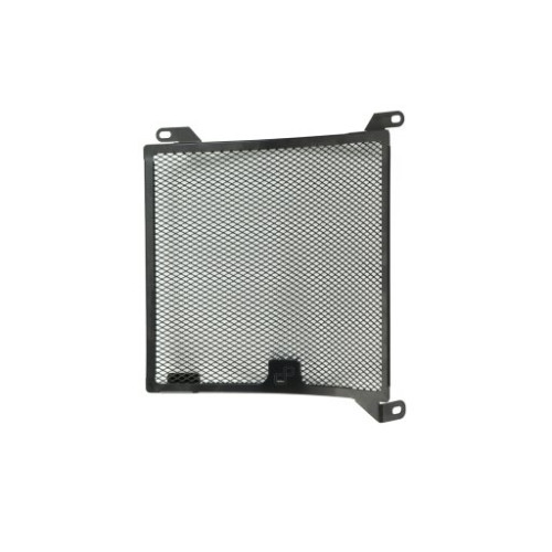 LIGHTECH Griglia Radiatore Aprilia