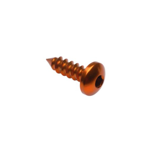 LIGHTECH Vite Autofilettante 002 Ø 4,9x13 Ergal