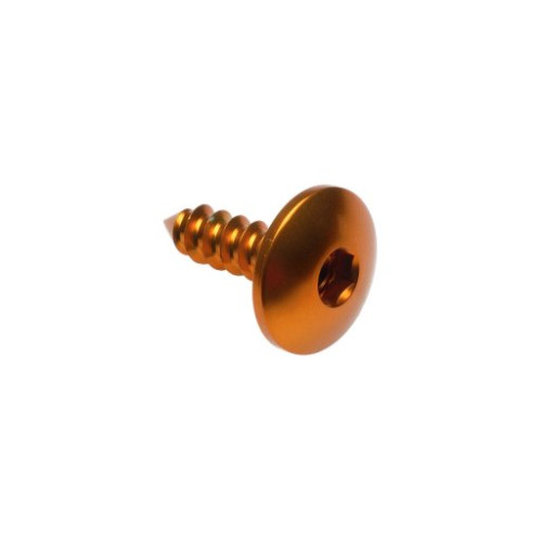 LIGHTECH Vite Autofilettante 003 Ø 5,5x16 Ergal