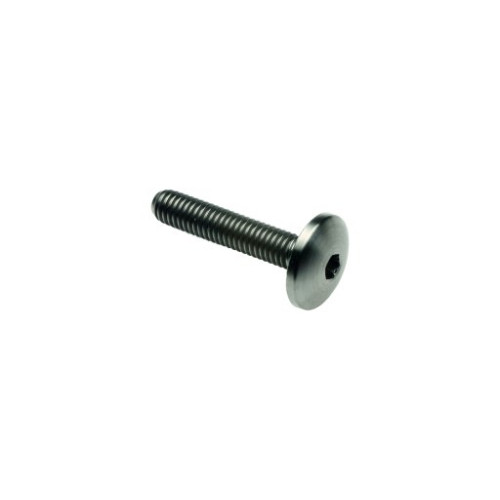 LIGHTECH Vite Bombata Tit. G.5 Cl 003 M5 L. 30 Testa Ø14  Titanio 6al4v Gr.5