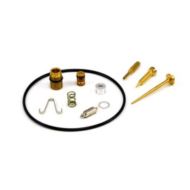 FASTER96 Carburatori - Kit Revisione (D)